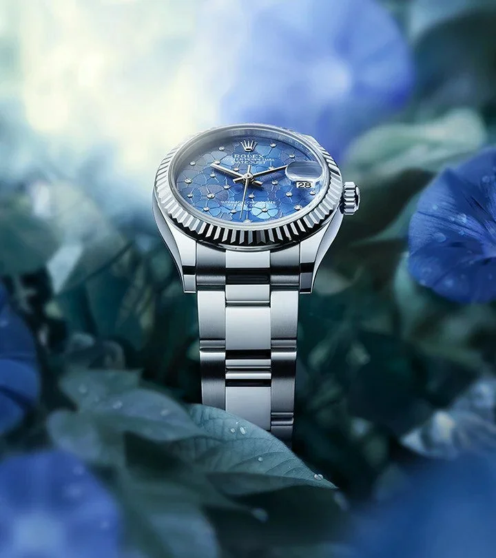 Collection de montres Rolex de prestige